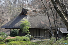 薬師池公園にて　70-300IS2USMテスト⑭