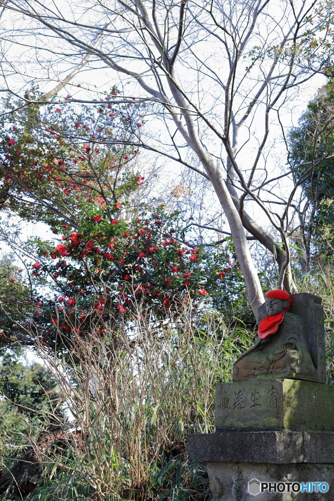 高幡不動尊にて⑦