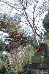 高幡不動尊にて⑦