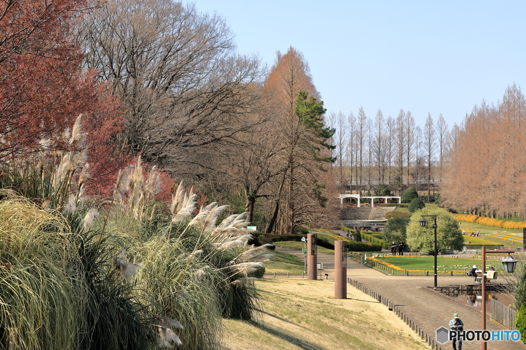 相模原公園にて　70-300IS2USMテスト⑨