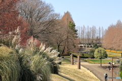 相模原公園にて　70-300IS2USMテスト⑨