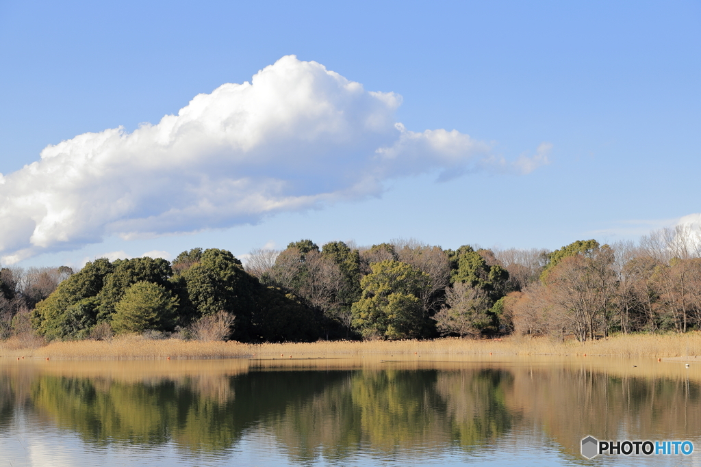 昭和記念公園にて②