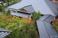 秋の気配１