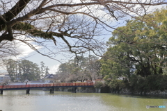 小田原城にて①
