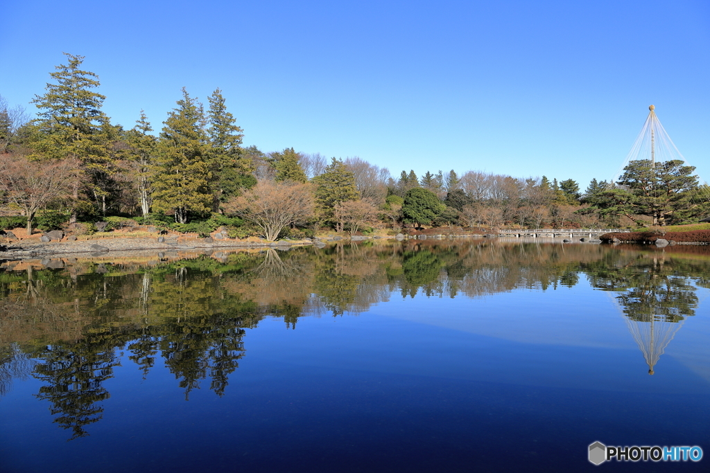 昭和記念公園にて⑤