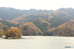 相模湖にて１