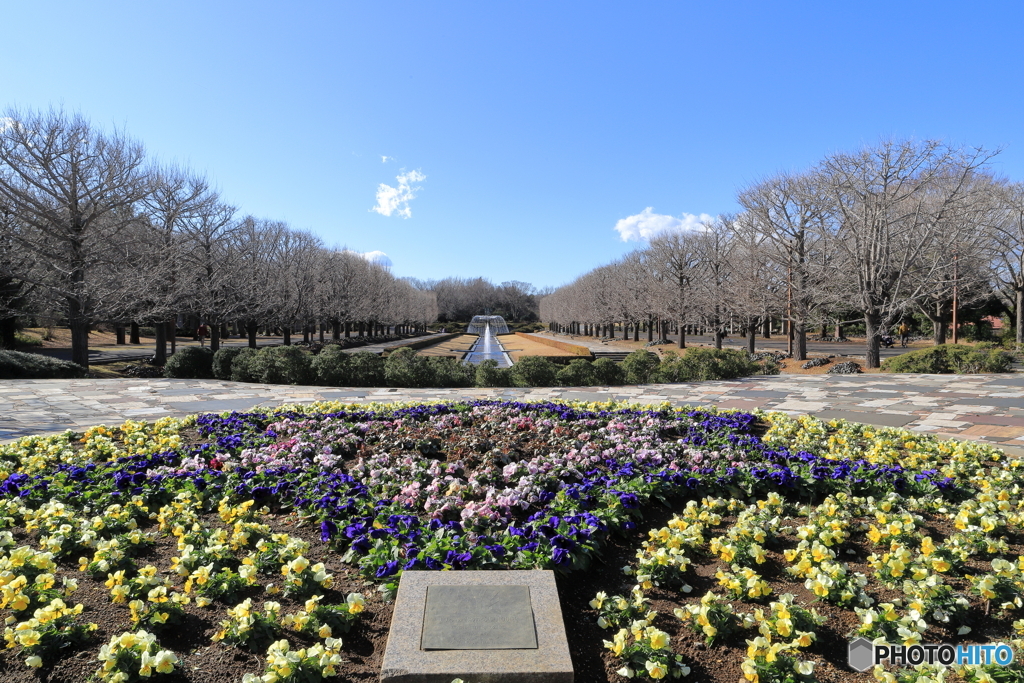 昭和記念公園にて①