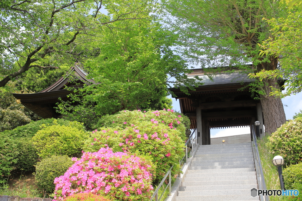 禅寺②