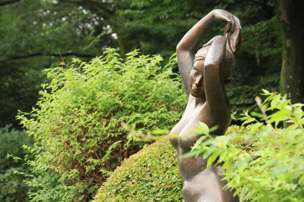 芸術の秋？－近所の公園にて