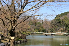 薬師池公園にて　70-300IS2USMテスト⑮