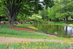 昭和記念公園にて④～池