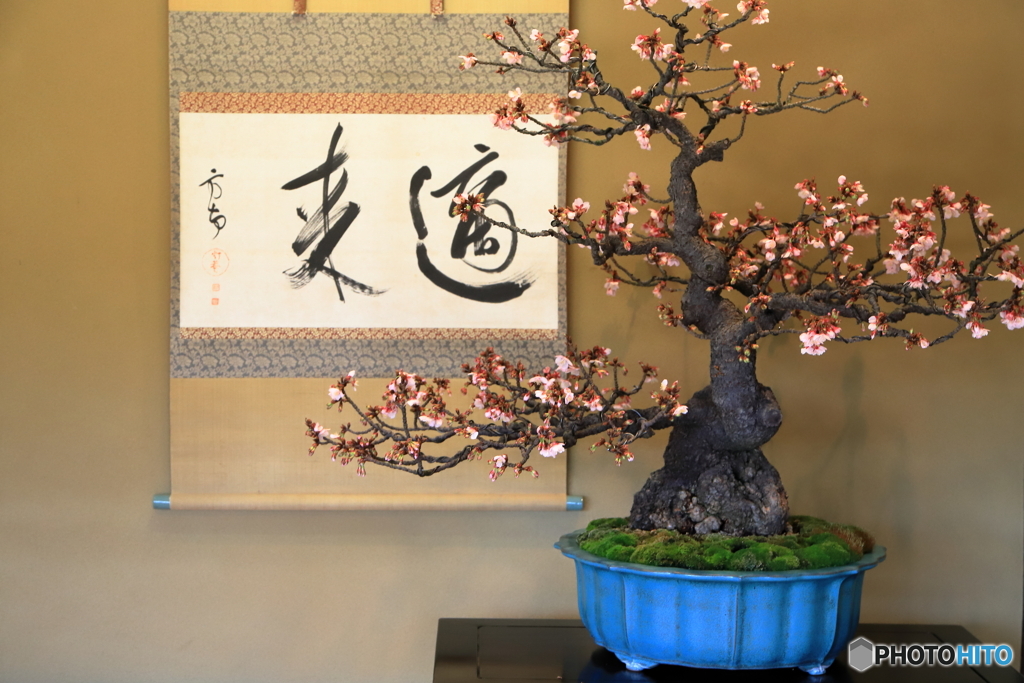 昭和記念公園にて⑦