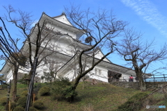 小田原城にて⑧