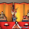 梅ほころぶ②