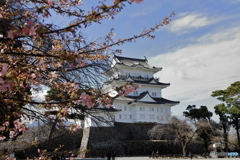 小田原城にて⑥