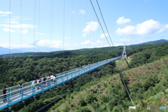 三島スカイウォークにて：長さ400ｍで日本一だそうです