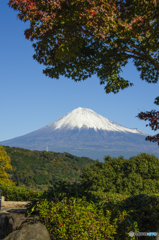 Mt.FUJI today (3)