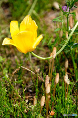 DSCF0733