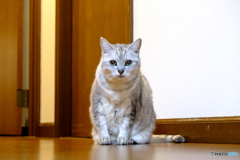 いちこ♀18歳