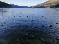 DSCF0635