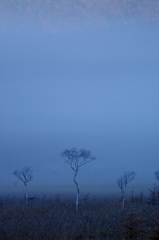 _DSF2501