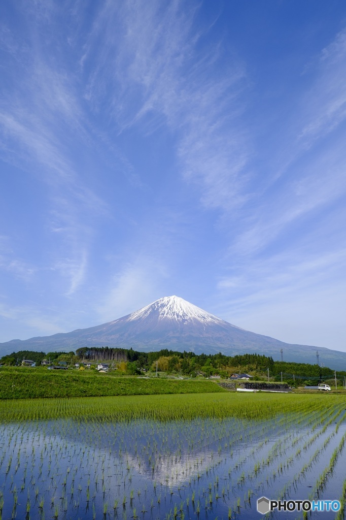 Mt.FUJI the mountain