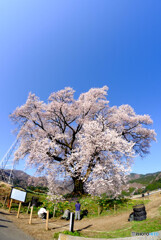 DSCF0484