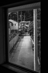 _DSF4769-1
