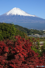 Mt.FUJI today (2)