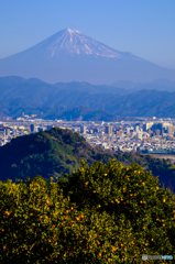 View 18.3℃