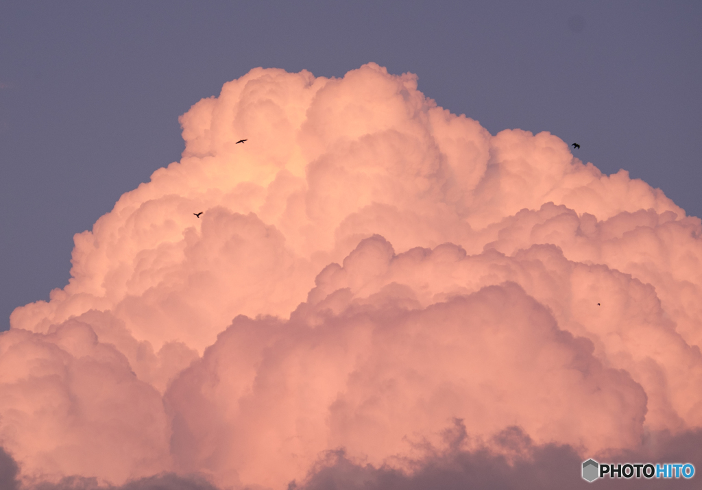 夕焼雲