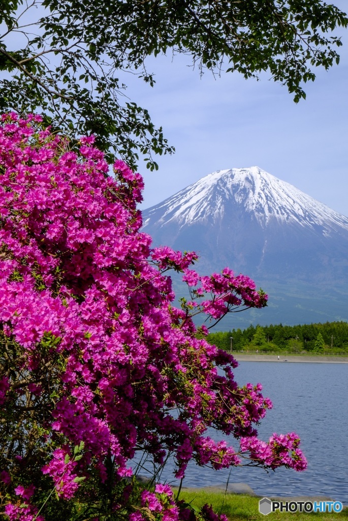 花水山