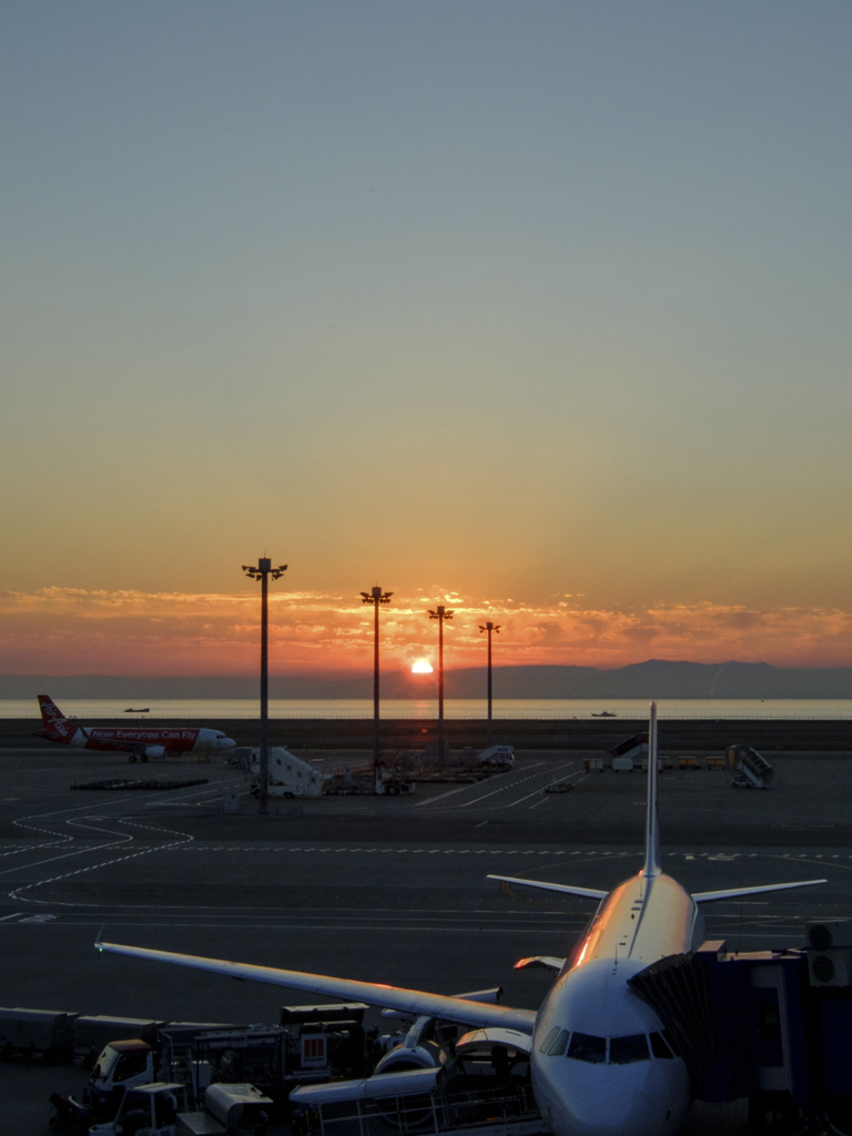 Evening Flight