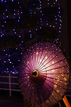 DSC00111西大寺夢灯籠