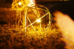 DSC00092西大寺夢灯籠
