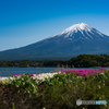 富士山と河口湖