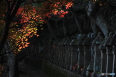 五百羅漢の秋
