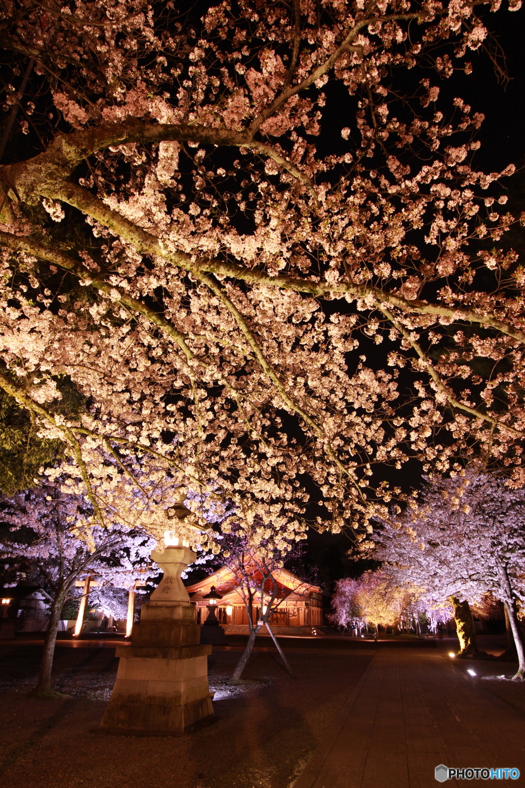 護国神社２