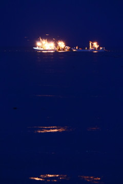 夜。漁船とカモメと。