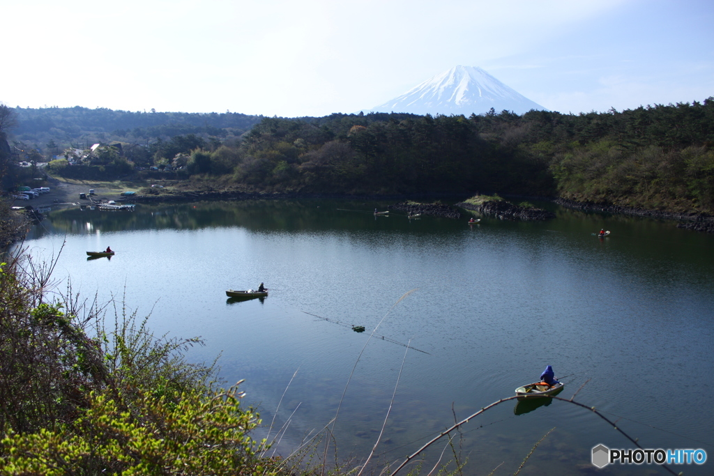 精進湖からの富士山