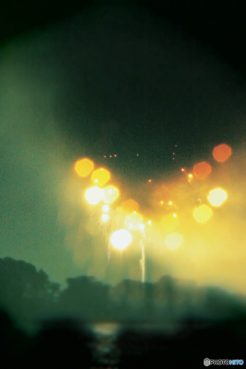 タマボケハナビ