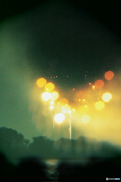 タマボケハナビ