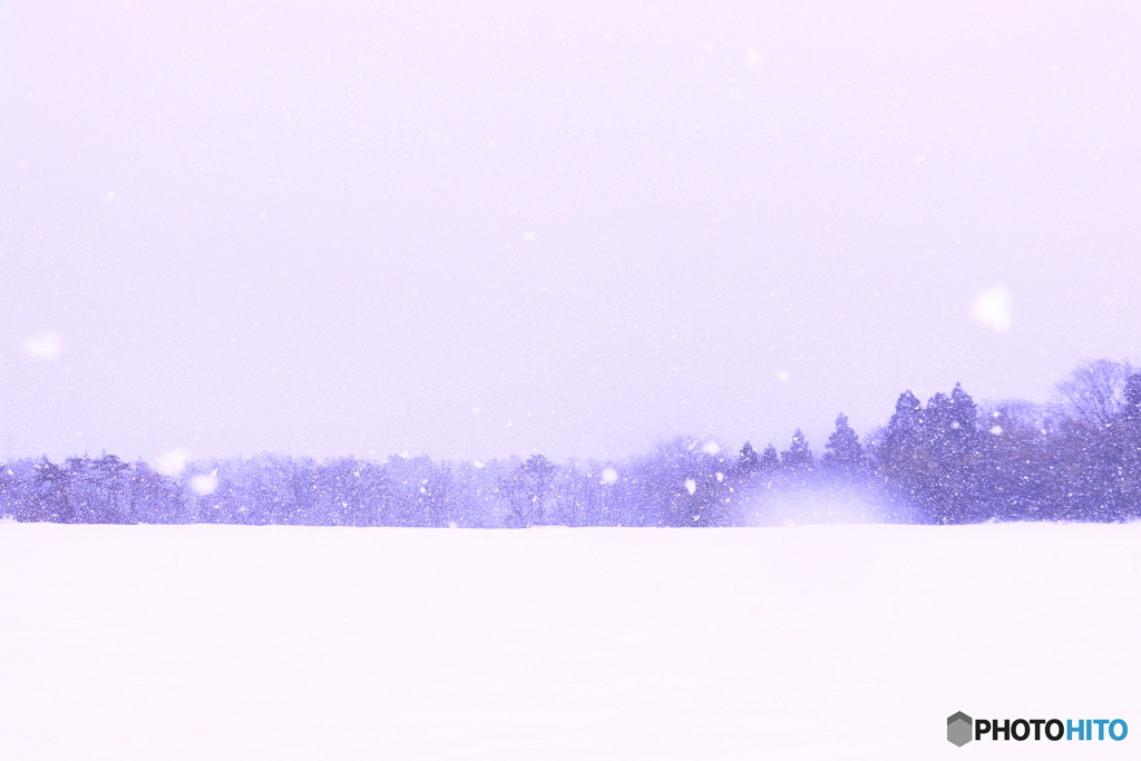 雪降る吾郷
