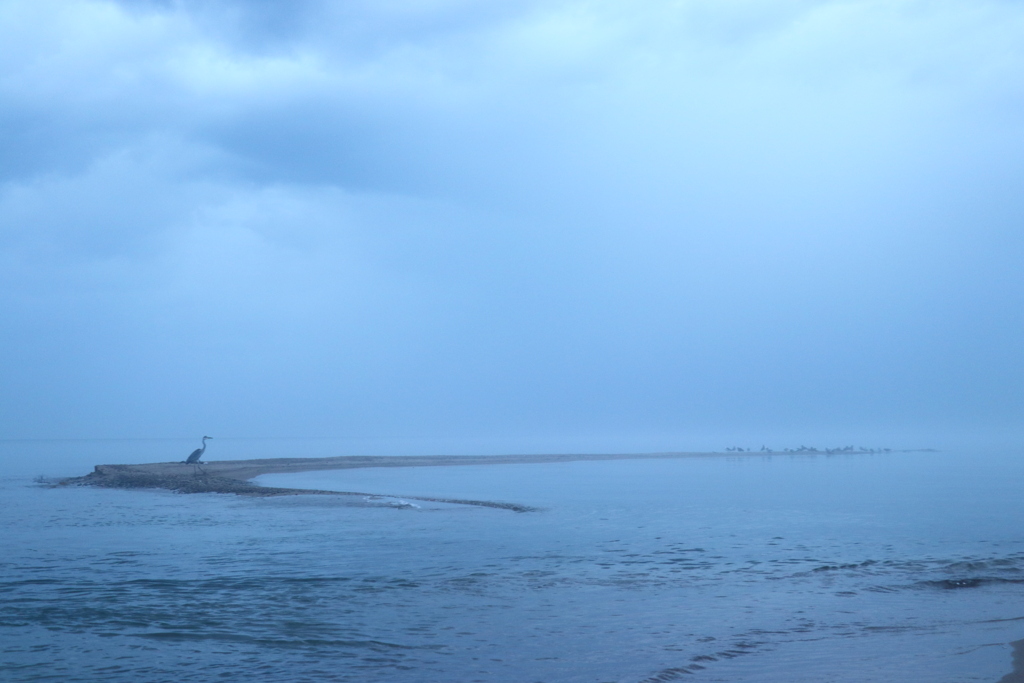 霧立ち込める海