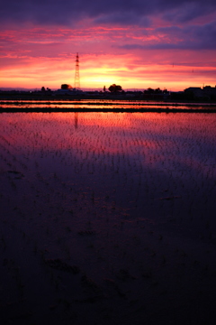 あの日の夕焼け空