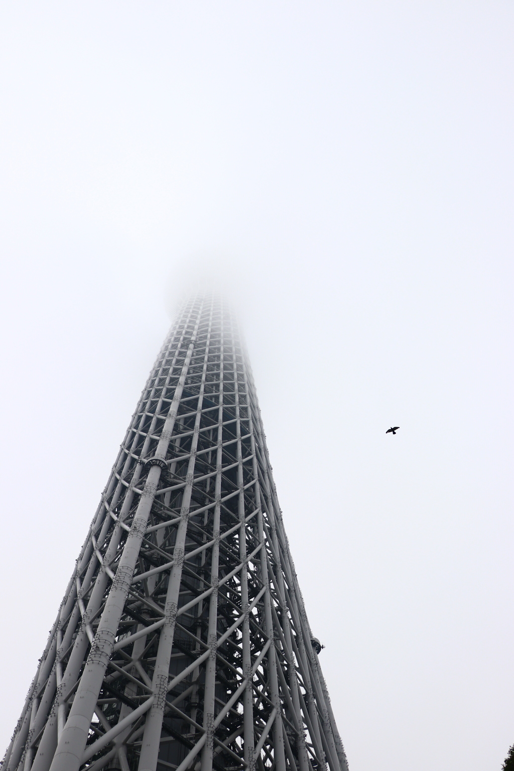 雲の中に