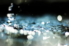 水玉