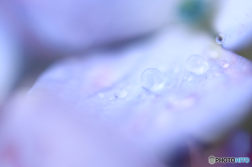 雨粒ころころ