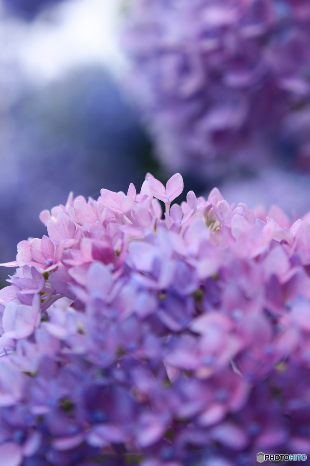 光に向かって手を…