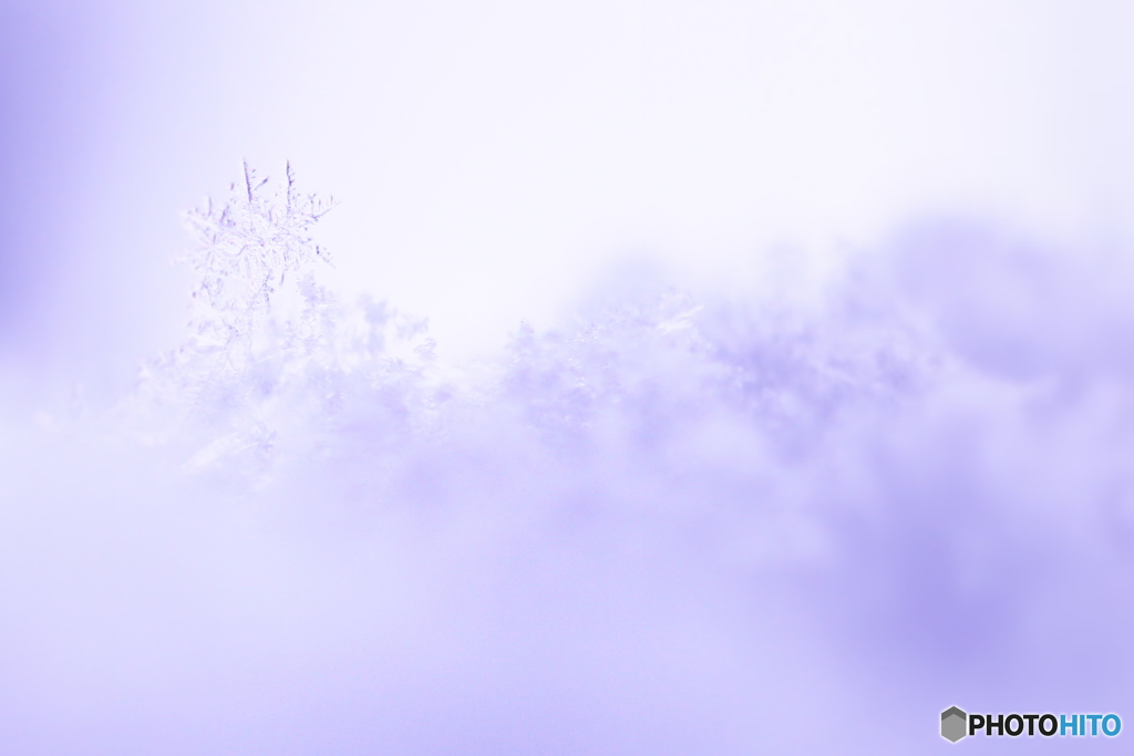 雪の女王